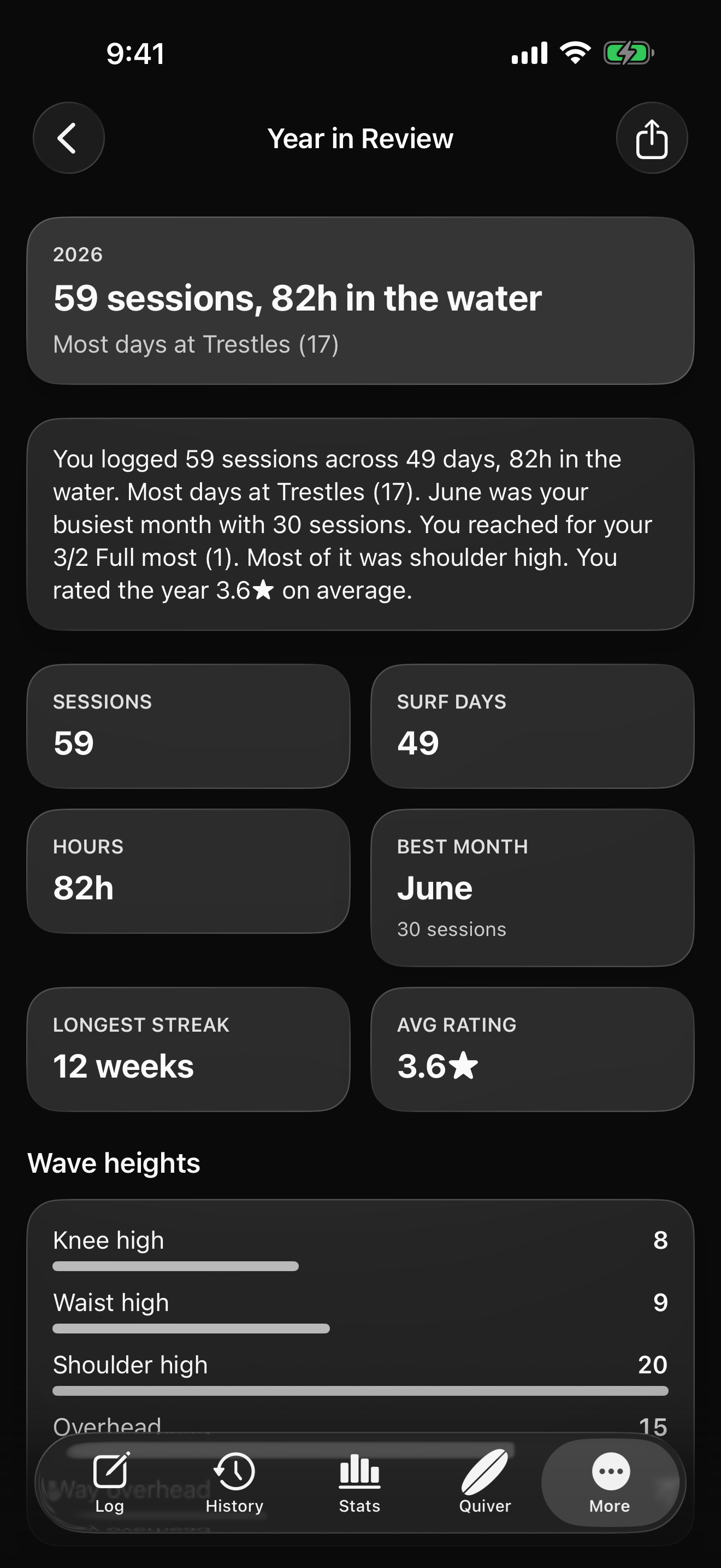 Peak Year in Review screen summarizing fictional sample sessions, surf days, hours, ratings, and wave heights